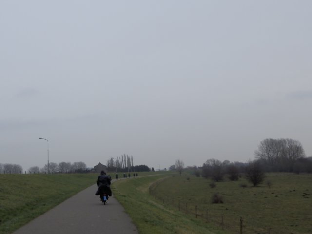 NWK 2014 017.jpg
